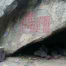 用户71611340的头像-秀琴曲谱网