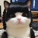 user icon