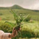 请你安静点🤫的头像-熵减岛