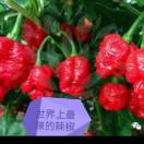 wx_钱没有性格～可改变一个人的性格！79