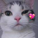 CC~