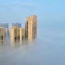 刘小溪