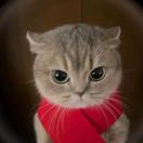 lllll的头像-梦马考研