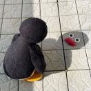 用户62184508的头像-长游分享网