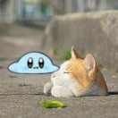 楼主头像