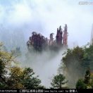 醉箫人的头像-混音中国