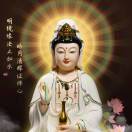 郑女士的头像