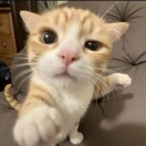 赵雅琪