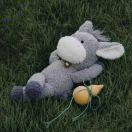 Citygate Condos转租&房东直租