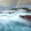 无平不陂无往不复