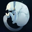 dark的头像-VAM®克苏恩资源社区