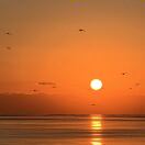 LLLLLLL的头像-大众奥迪MQB刷隐藏|改装升级教程|学习教程|固件|编码缘众日记