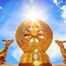 《🙏🙏吉星高照🙏🙏》