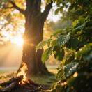 用户21464288的头像-秀琴曲谱网