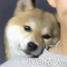 wx_章鑫艺81