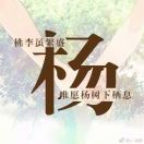 周先生的头像