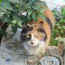 依抛扑坏的头像-博士钣金 - www.bsbanjin.com