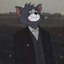 Tom老司机