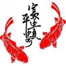 曹女士的头像