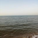 图图的头像-熵减岛