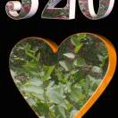 帅哥。 🌳1839