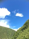 石建英，大地保代