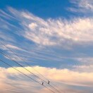 用户47218967的头像-小燕分享网