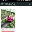 徐先生的头像