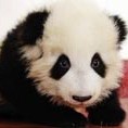 王磊