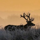 连康的头像-熵减岛