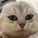 用户16972871的头像-音创社AI SonoCraft丨科技改变未来