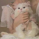 Lucky.的头像-VAM®克苏恩资源社区