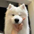 Zoey_