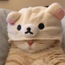 jason的头像-音创社AI SonoCraft丨科技改变未来