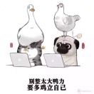 DWSCQ-cg男孩