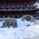 AAA果晶果品供应链13722999469