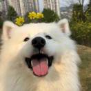 000CRWUF