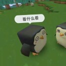 sophia&飞