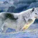 诺亚方舟的头像-熵减岛