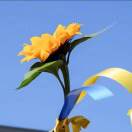 GongXM的头像-熵减岛