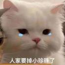 王睿萱