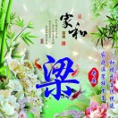 卢女士的头像