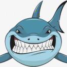 透明质酸钠 硫酸软骨素 氨基葡萄糖