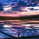 wx_清风自来军47
