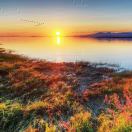 གཡུ་སྒྲོན།