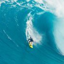 华荣-秀琴曲谱网