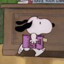 will的头像-博士钣金 - www.bsbanjin.com