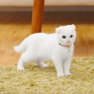 小石头的钢琴谱