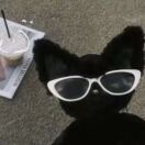 梓韵琴行【关鑫】