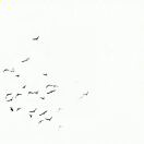 月盈则亏，水满则溢